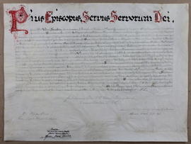 Bula de Pío XI comunicando al cabildo de la Catedral de Alajuela, clero y fieles de la misma diócesis el nombramiento de Mons. Sanabria como obispo de Alajuela